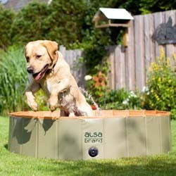 alsa-brand Dog-Playpool grün, Maße: ca. 80 x 20 cm