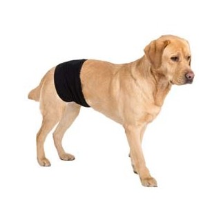 Rüdenbinde Gentleman Wrap Plus schwarz, Gr. XS, Breite: ca. 10 cm, Bauchumfang: max. 40 cm