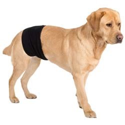 Rüdenbinde Gentleman Wrap Plus schwarz, Gr. XS, Breite: ca. 10 cm, Bauchumfang: max. 40 cm
