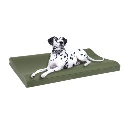 alsa-brand Gesundheitsbett Orthopädia grün, Maße: ca. 120 x 80 x 7-13 cm