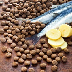 alsa-nature Hering & Kartoffel getreidefrei Trockenfutter, 1,5 kg, Hundefutter trocken