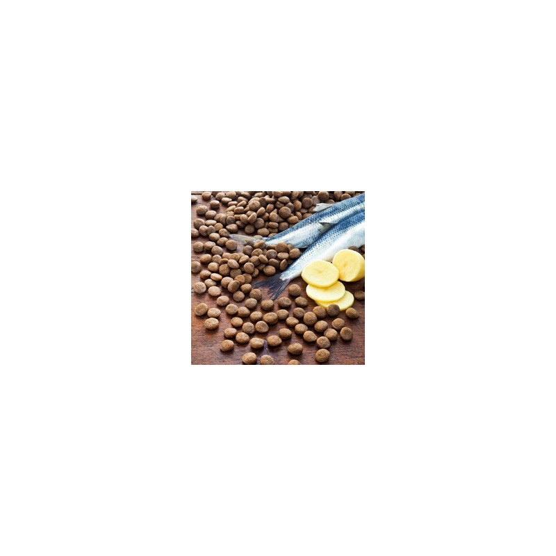 alsa-nature Hering & Kartoffel getreidefrei Trockenfutter, 1,5 kg, Hundefutter trocken