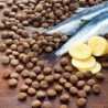 alsa-nature Hering & Kartoffel getreidefrei Trockenfutter, 1,5 kg, Hundefutter trocken