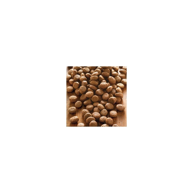 alsa-nature Geflügel & Kartoffel getreidefrei Trockenfutter, 1,5 kg, Hundefutter trocken