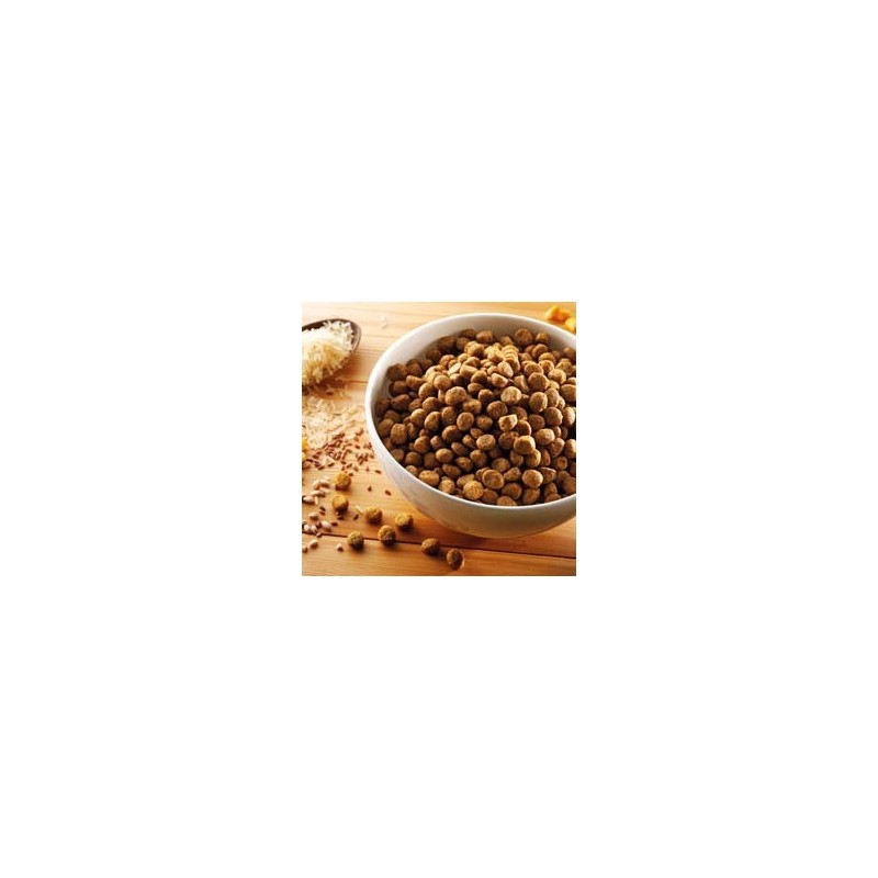 alsa-nature Hundefutter vegetarisch, 3 kg, Hundefutter