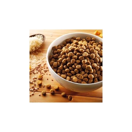 alsa-nature Hundefutter vegetarisch, 3 kg, Hundefutter