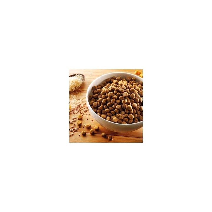 alsa-nature Hundefutter vegetarisch, 3 kg, Hundefutter