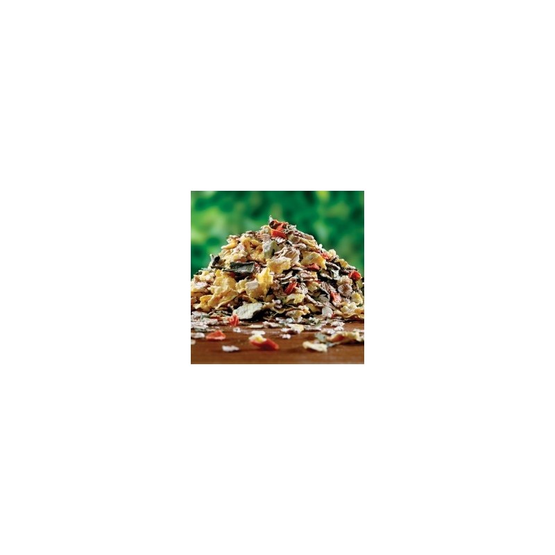 alsa-nature Gemüse & Korn Schonkost, 3 kg, Hundefutter