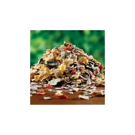 alsa-nature Gemüse & Korn Schonkost, 3 kg, Hundefutter