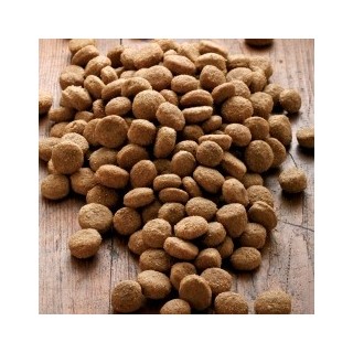 alsa-nature Big-Junior Medial Protein Trockenfutter, 3 kg, Hundefutter trocken