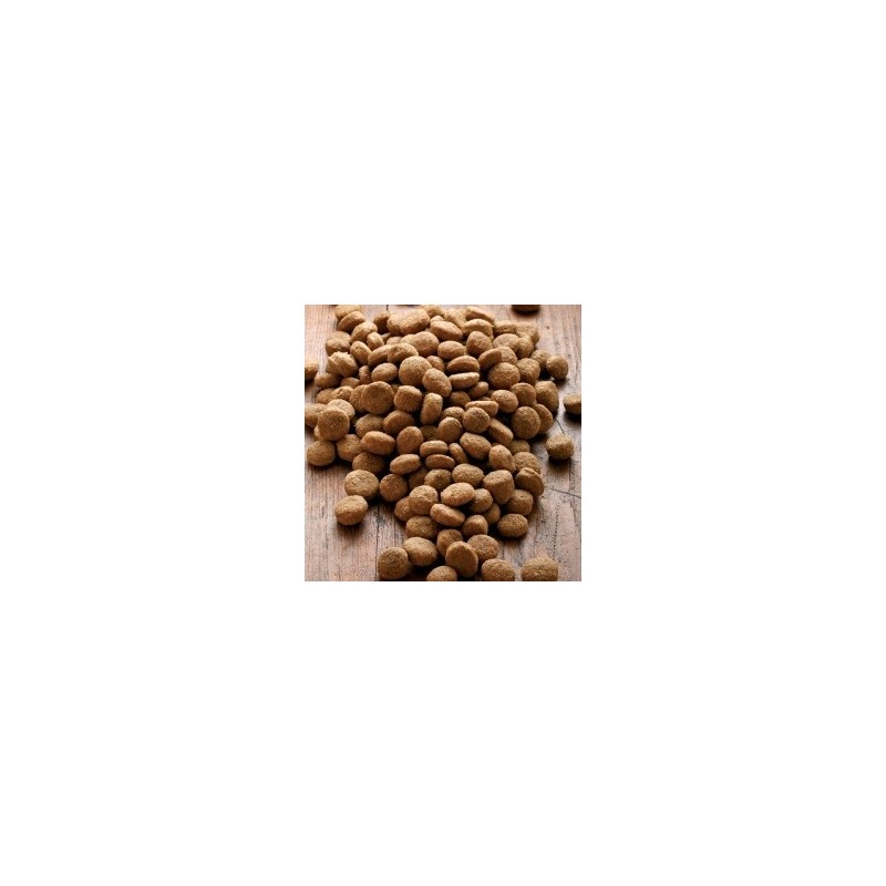 alsa-nature Big-Junior Medial Protein Trockenfutter, 3 kg, Hundefutter trocken