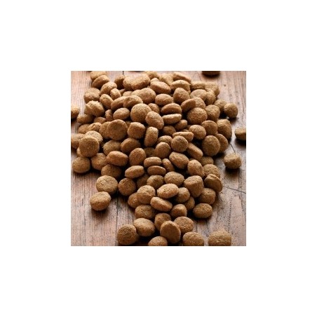 alsa-nature Big-Junior Medial Protein Trockenfutter, 3 kg, Hundefutter trocken
