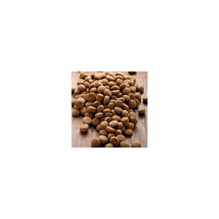 alsa-nature Big-Junior Medial Protein Trockenfutter, 3 kg, Hundefutter trocken