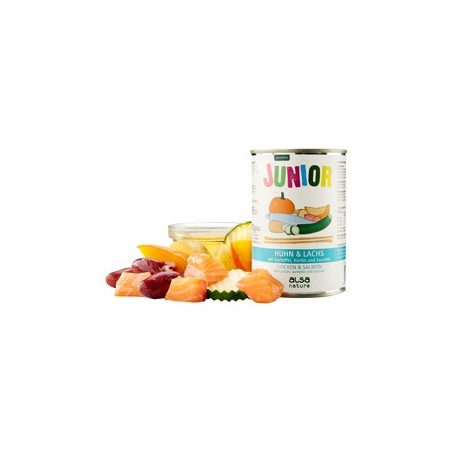 alsa-nature JUNIOR Huhn & Lachs mit Kartoffel, Kürbis & Zucchini, Anzahl: 400 g, 400 g, Hundefutter nass
