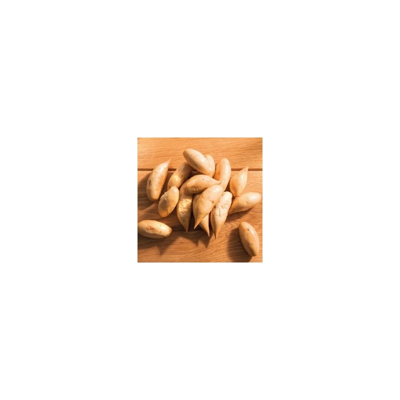 alsa-nature Kartoffel-Nockerln, 250 g, Länge: ca. 4 cm