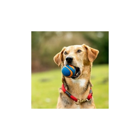 Chuckit! Hunde-Gummiball Ultra Squeaker blau, Gr. M, Durchmesser:  ca. 6 cm