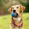Chuckit! Hunde-Gummiball Ultra Squeaker blau, Gr. M, Durchmesser:  ca. 6 cm