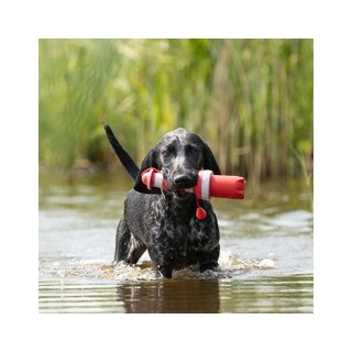 rogz Wurf-Spielzeug Lighthouse rot, Länge: ca. 25 cm, Durchmesser:  ca. 7 cm