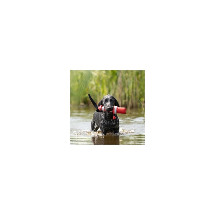 rogz Wurf-Spielzeug Lighthouse rot, Länge: ca. 25 cm, Durchmesser:  ca. 7 cm