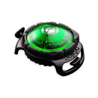 Orbiloc Leuchtanhänger Dog Dual grün, Maße: ca. 4,8 x 3,5 x 2 cm