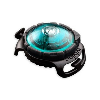 Orbiloc Leuchtanhänger Dog Dual türkis, Maße: ca. 4,8 x 3,5 x 2 cm