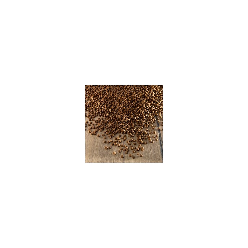 alsa-nature Sensitiv Pferd & Kartoffel getreidefrei Trockenfutter, 1,5 kg, Hundefutter trocken