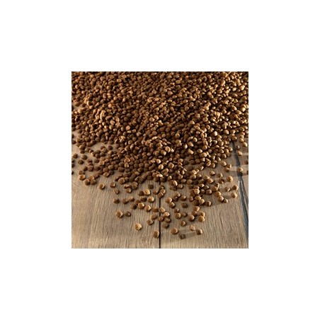 alsa-nature Sensitiv Pferd & Kartoffel getreidefrei Trockenfutter, 1,5 kg, Hundefutter trocken