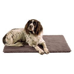 Florbed Premium braun, Gr. 50 x 70 cm