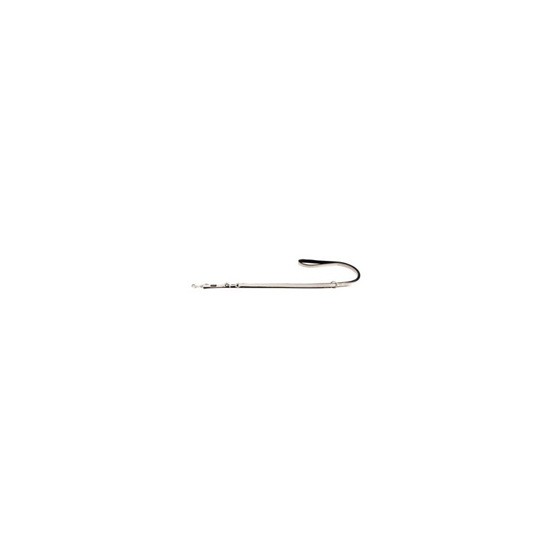 WOLTERS Führleine Active Pro champagner/silber, Gr. M/L, Breite: ca. 2 cm, Länge: ca. 200 cm