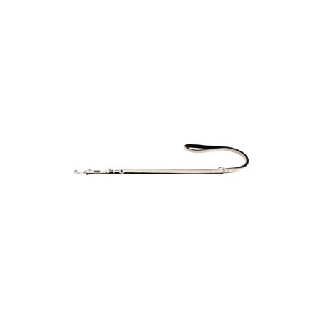 WOLTERS Führleine Active Pro champagner/silber, Gr. M/L, Breite: ca. 2 cm, Länge: ca. 200 cm