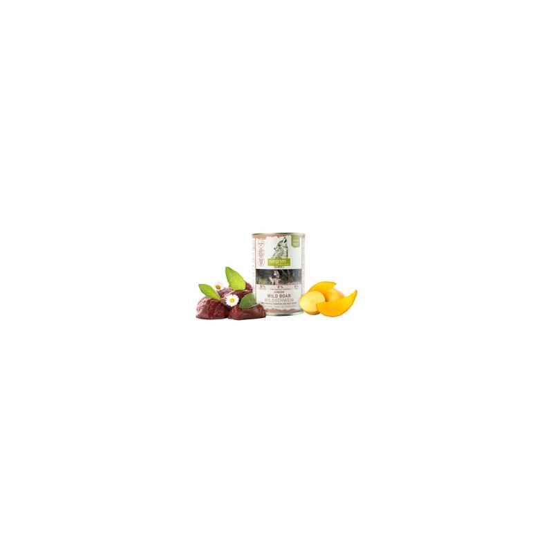 isegrim® Junior FOREST Wildschwein mit Kartoffel, Kürbis & Wildkräutern, Anzahl: 400 g, 400 g, Hundefutter nass