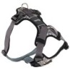 HUNTER Hundegeschirr Divo Reflect schwarz/grau, Gr. XS, Breite: ca. 1,5 cm, Bauchumfang: ca. 34 - 47 cm, Halsumfang: ca. 19 -