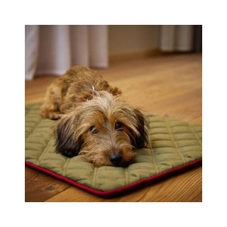 Laboni Hundedecke Oxford oliv, Maße: ca. 98 x 68 x 1,5 cm