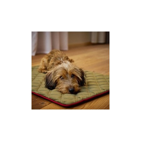 Laboni Hundedecke Oxford oliv, Maße: ca. 98 x 68 x 1,5 cm
