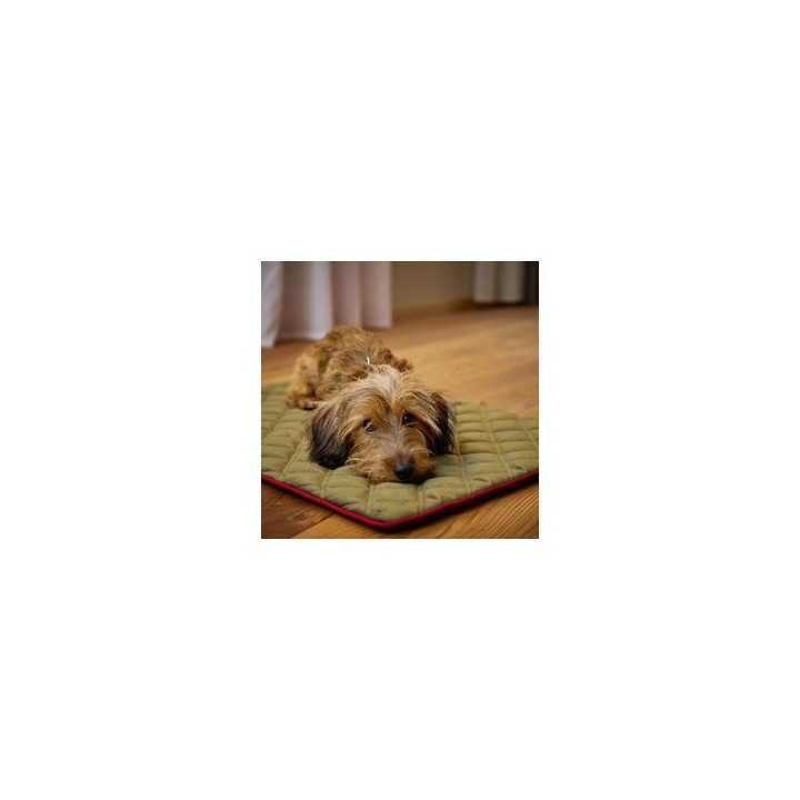 Laboni Hundedecke Oxford oliv, Maße: ca. 98 x 68 x 1,5 cm