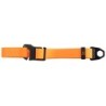 Collar Hundehalsband Evolutor orange, Breite: ca. 25 mm, Länge: ca. 25 - 70 cm