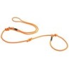 alsa-brand Retriever-Führleine Ole orange-tannengrün, Länge: ca. 2 m, Durchmesser:  ca. 10 mm