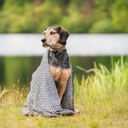 Labbvenn Hundehandtuch Linaa grey, Maße: ca. 75 x 150 cm