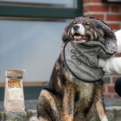 DGS™ Hundehandtuch Dirty Dog Shammy grau, Maße: ca. 80 x 35 cm