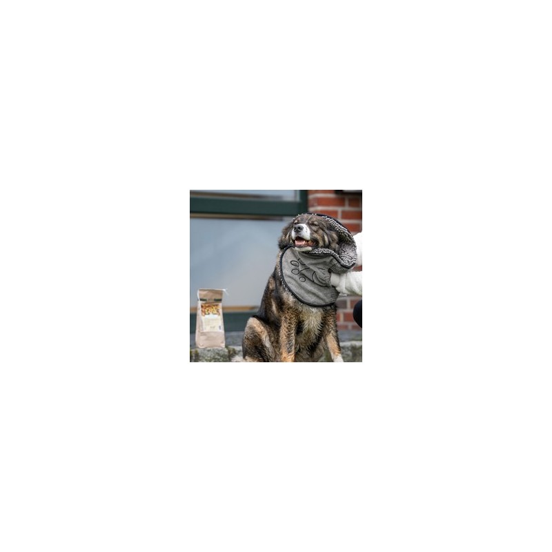 DGS™ Hundehandtuch Dirty Dog Shammy grau, Maße: ca. 80 x 35 cm