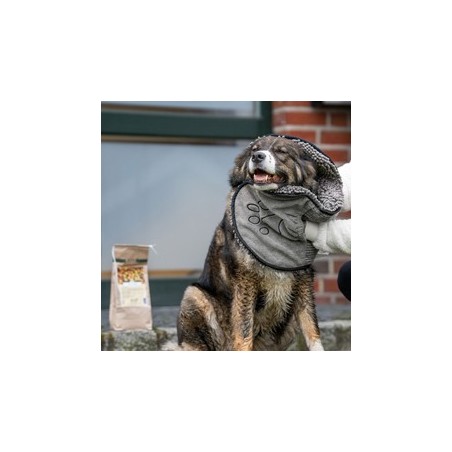 DGS™ Hundehandtuch Dirty Dog Shammy grau, Maße: ca. 80 x 35 cm
