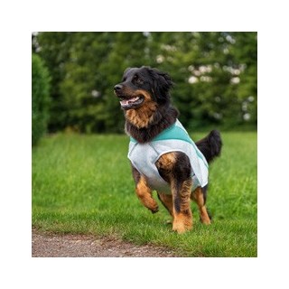 Ruffwear Sonnenschutz-Weste Swamp Cooler™ Vest grün, Gr. XXS, Bauchumfang: ca. 33 - 43 cm