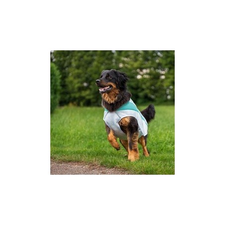 Ruffwear Sonnenschutz-Weste Swamp Cooler™ Vest grün, Gr. XXS, Bauchumfang: ca. 33 - 43 cm