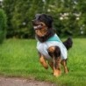 Ruffwear Sonnenschutz-Weste Swamp Cooler™ Vest grün, Gr. XXS, Bauchumfang: ca. 33 - 43 cm