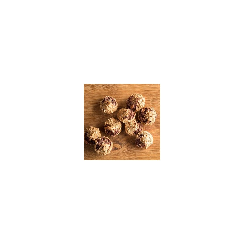 alsa-nature INSECTUM Obst-Pastete, 250 g, Durchmesser:  ca. 3 cm