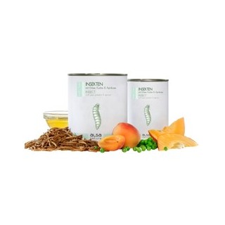 alsa-nature INSECTUM Insekten mit Erbse, Kürbis & Aprikose, Anzahl: 375 g, 375 g, Hundefutter nass
