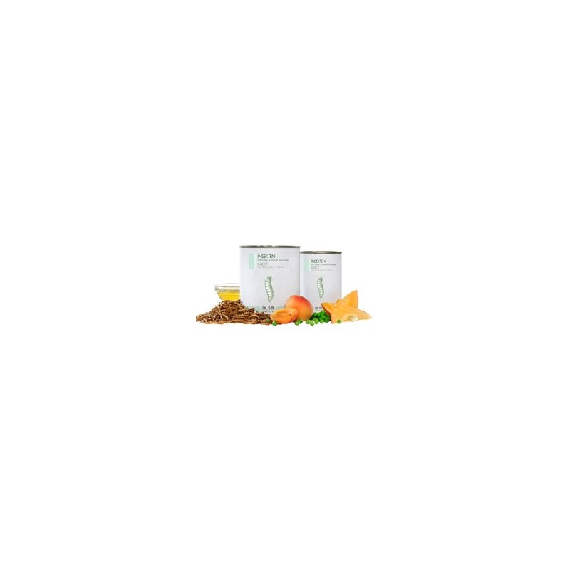alsa-nature INSECTUM Insekten mit Erbse, Kürbis & Aprikose, Anzahl: 375 g, 375 g, Hundefutter nass