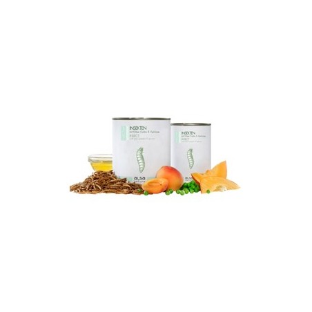 alsa-nature INSECTUM Insekten mit Erbse, Kürbis & Aprikose, Anzahl: 375 g, 375 g, Hundefutter nass