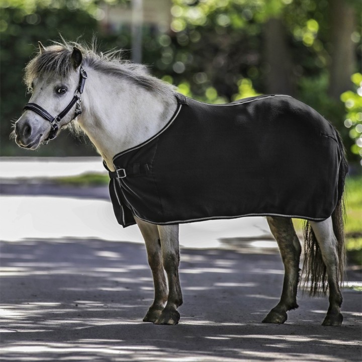 Waldhausen Fleecedecke Economic - schwarz