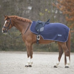 Waldhausen Fleece Nierendecke Economic